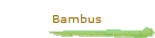 Bambus