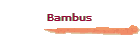 Bambus